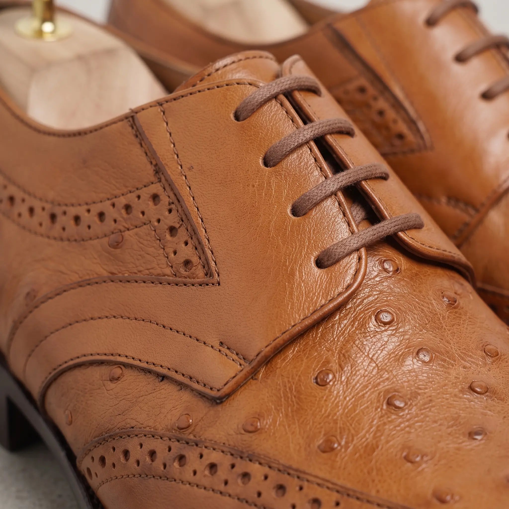 Men's Tan Ostrich-Embossed Leather Wingtip Derbys — Farnell