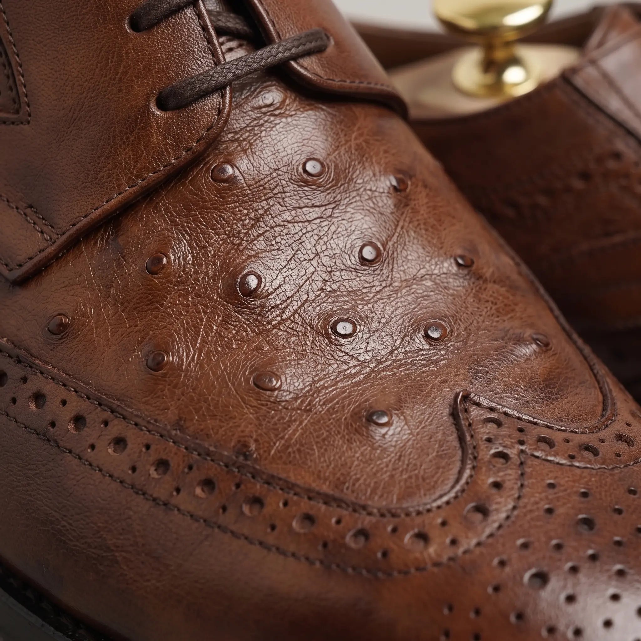 Men's Brown Ostrich-Embossed Leather Wingtip Derbys — Farnell