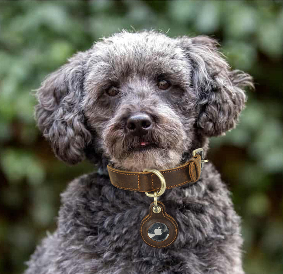 Handmade Leather Dog Collar for Small Dog with Antique Buckle and AirTag Pocket