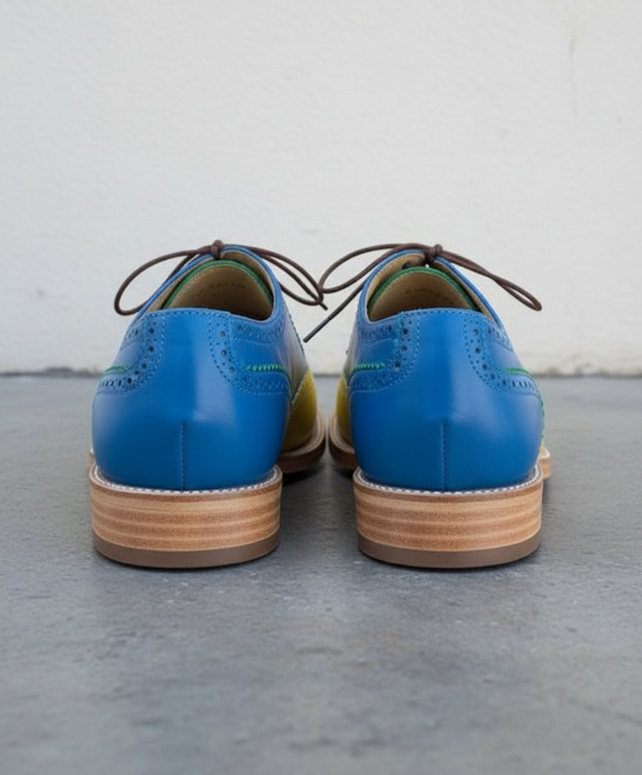 Men Handmade Multi color Leather Brogue Shoes with Lace up Closure - back-view